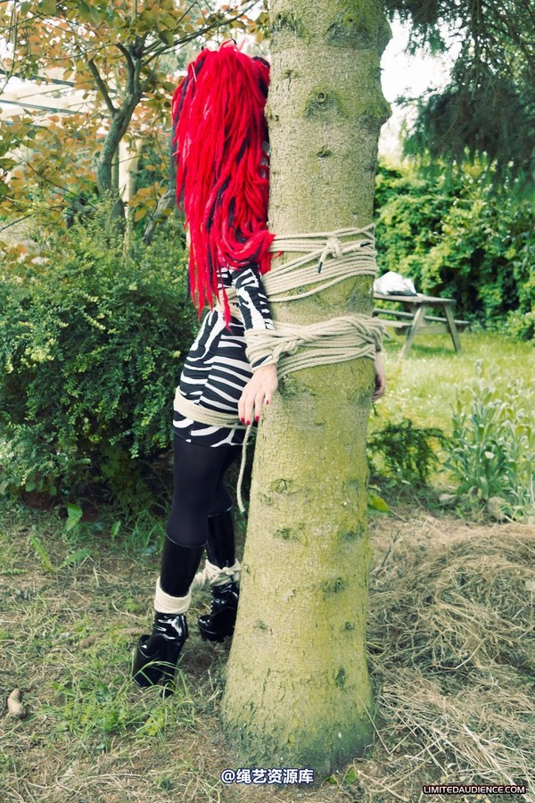 limitedaudience - 2012 andromedax bound to a tree 第 23 张图片