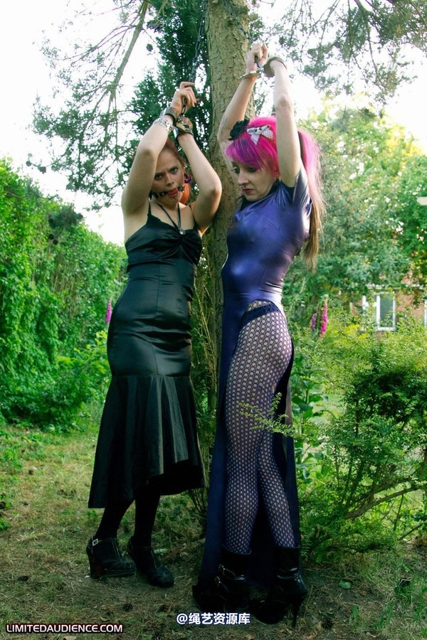 limitedaudience - 2011 beckykat loltaru chained tree seesaw 2 第 6 张图片