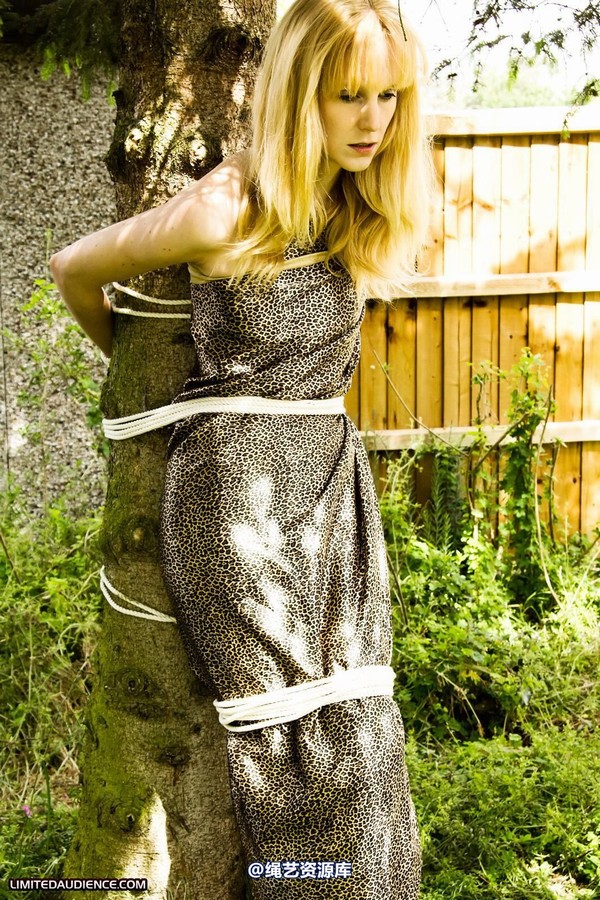 limitedaudience - 2011 ariel tied to a tree 第 23 张图片