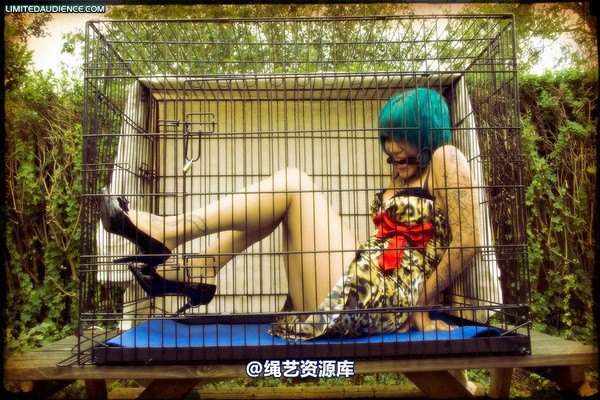 limitedaudience - 2009 b caged animal 第 48 张图片