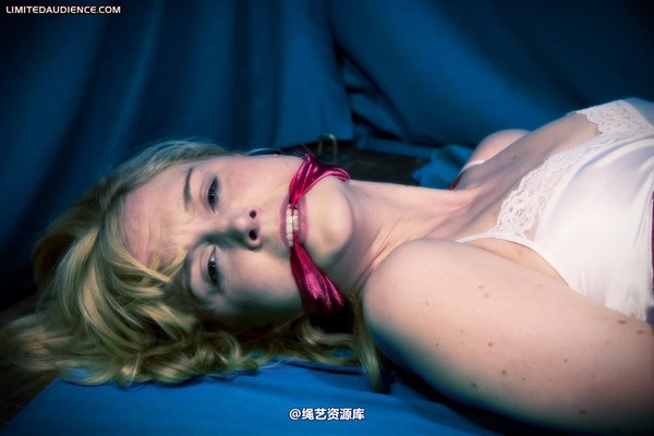 limitedaudience - 2010 ariel hogtied and cleave gagged 第 8 张图片