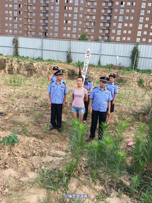 mj影视 - 贩毒女孩紫琪 第 72 张图片