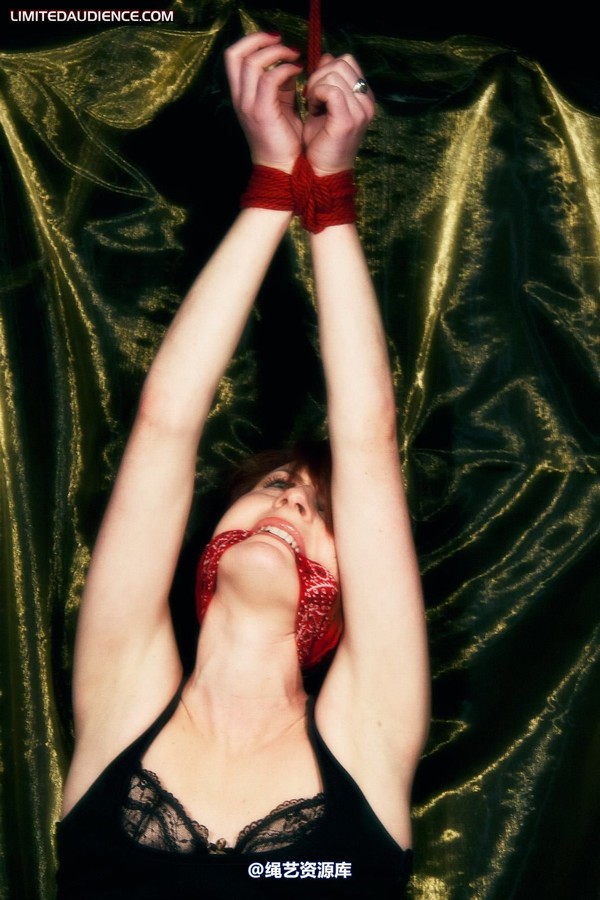 limitedaudience - 2011 madison rouge dangling helplessly 2 第 7 张图片