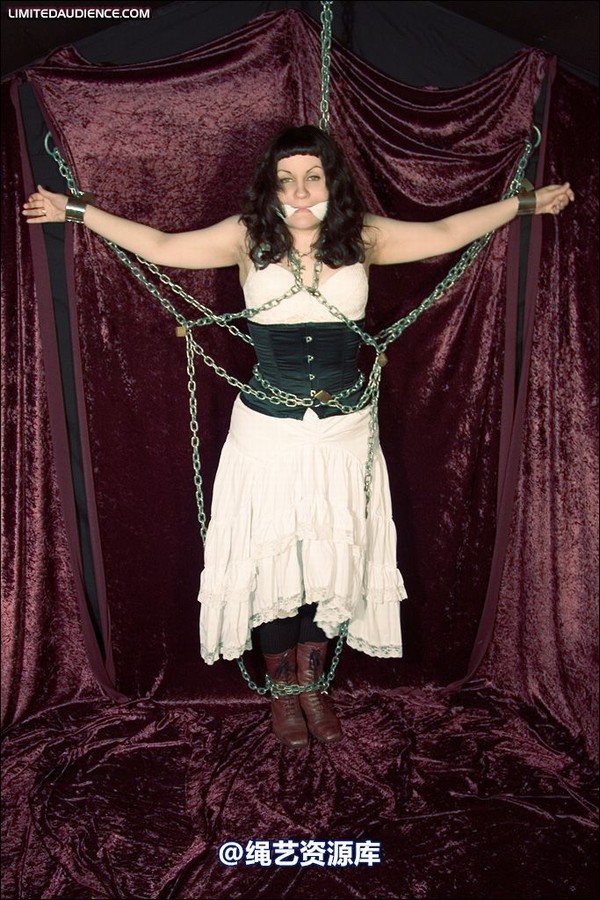 limitedaudience - 2008 veriddian chains on velvet 第 15 张图片
