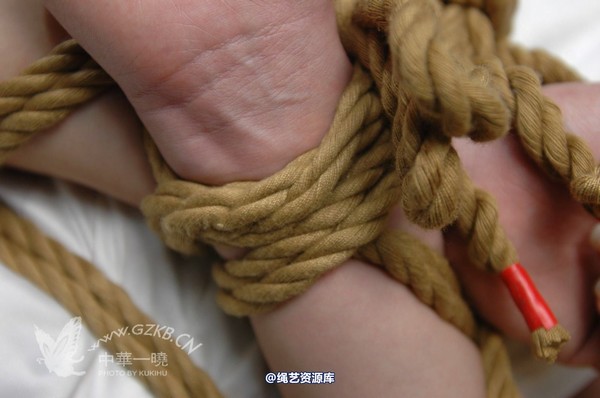 中华一晓 - 中华一晓 NO.0538 第 64 张图片