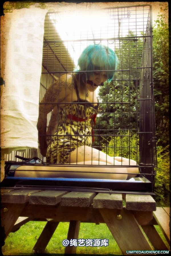 limitedaudience - 2009 b caged animal 第 38 张图片
