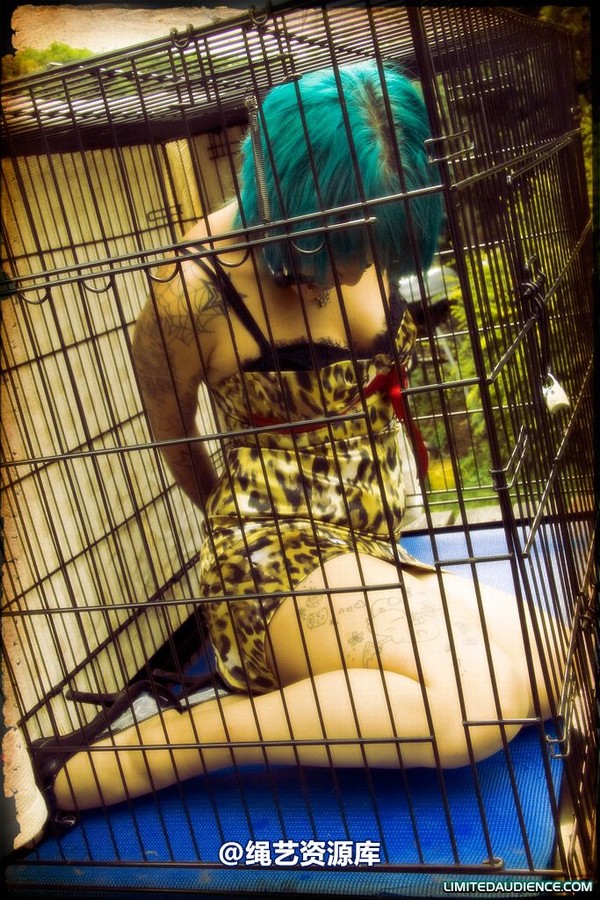 limitedaudience - 2009 b caged animal 第 8 张图片
