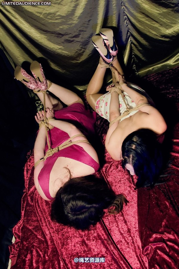 limitedaudience - 2010 catya elyssia hogtied 第 29 张图片