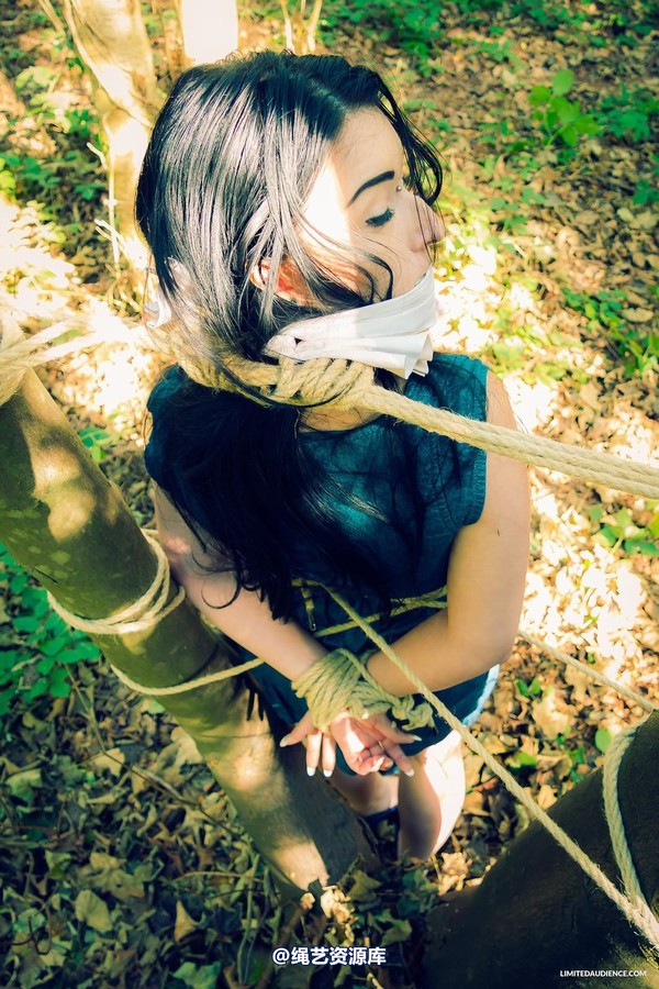 limitedaudience - 2015 stacey von in the forest 2 第 7 张图片