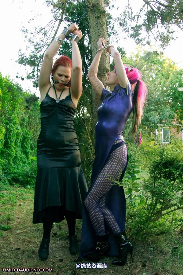 limitedaudience - 2011 beckykat loltaru chained tree seesaw 2 第 10 张图片