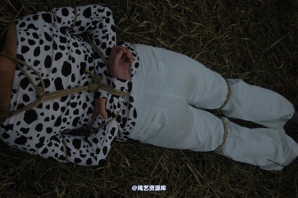 mj影视 - 血泪控诉刑场 第 260 张图片