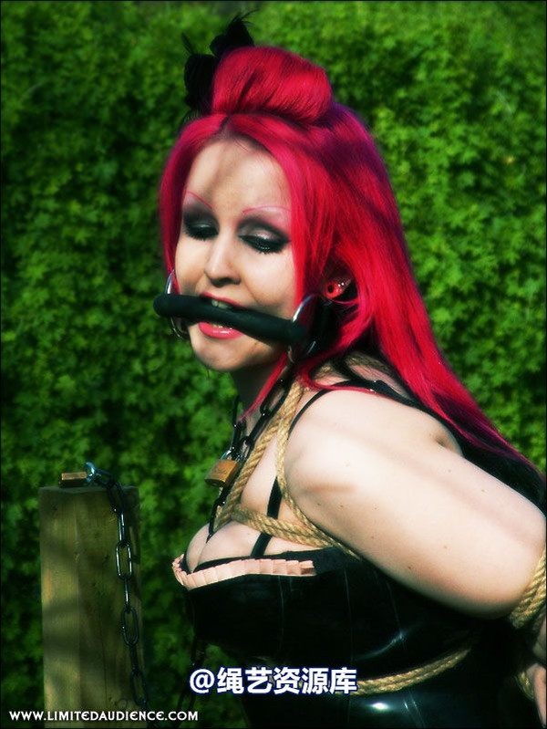 limitedaudience - 2007 assisted suicide at the slave market 第 20 张图片