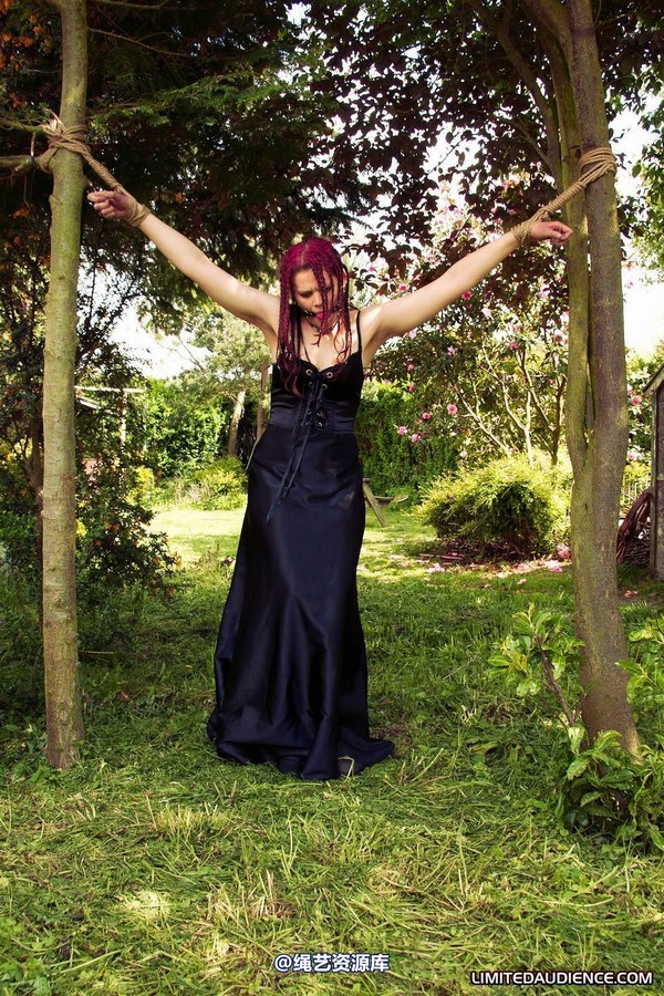limitedaudience - 2011 beckykat between trees 2 第 29 张图片