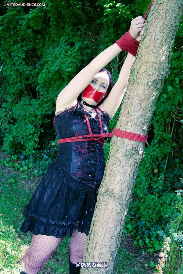 limitedaudience - 2011 carmina and the tree 3 第 10 张图片