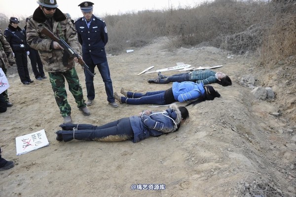 mj影视 - 2014-01-23 新春严打套图2 第 231 张图片