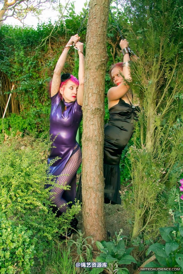 limitedaudience - 2011 beckykat loltaru chained tree seesaw 第 18 张图片