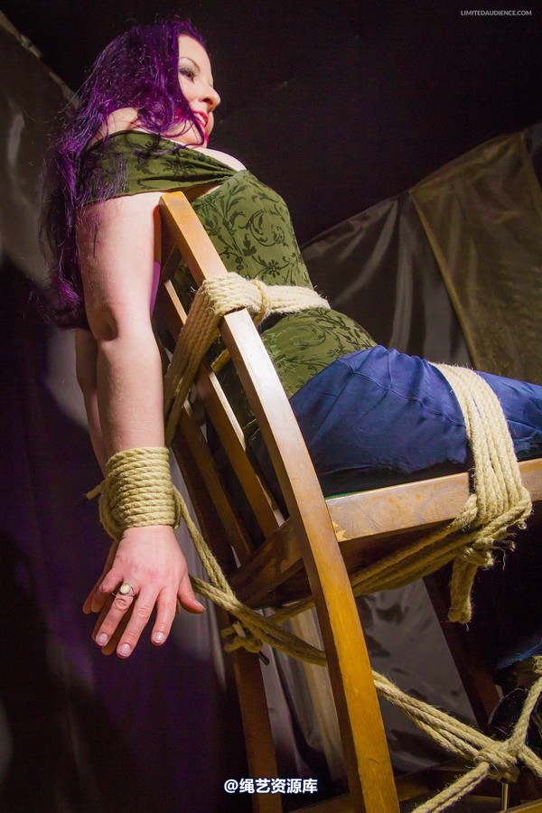 limitedaudience - 2014 caroline pierce captured damsel 第 11 张图片
