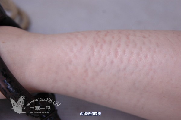 中华一晓 - 中华一晓 NO.0118 第 53 张图片