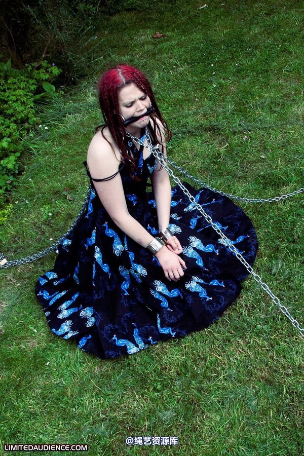 limitedaudience - 2010 beckykat chained and staked 第 19 张图片