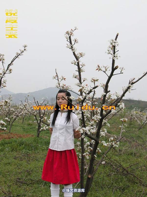 锐度主张 - 婷婷和寒冰梨花林中 第 24 张图片