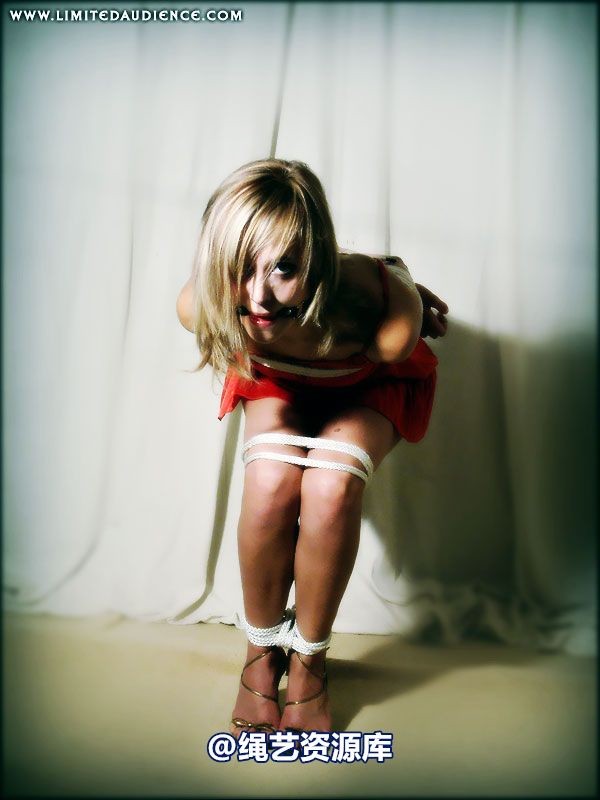 limitedaudience - 2007 ariel gradual restraints 第 44 张图片