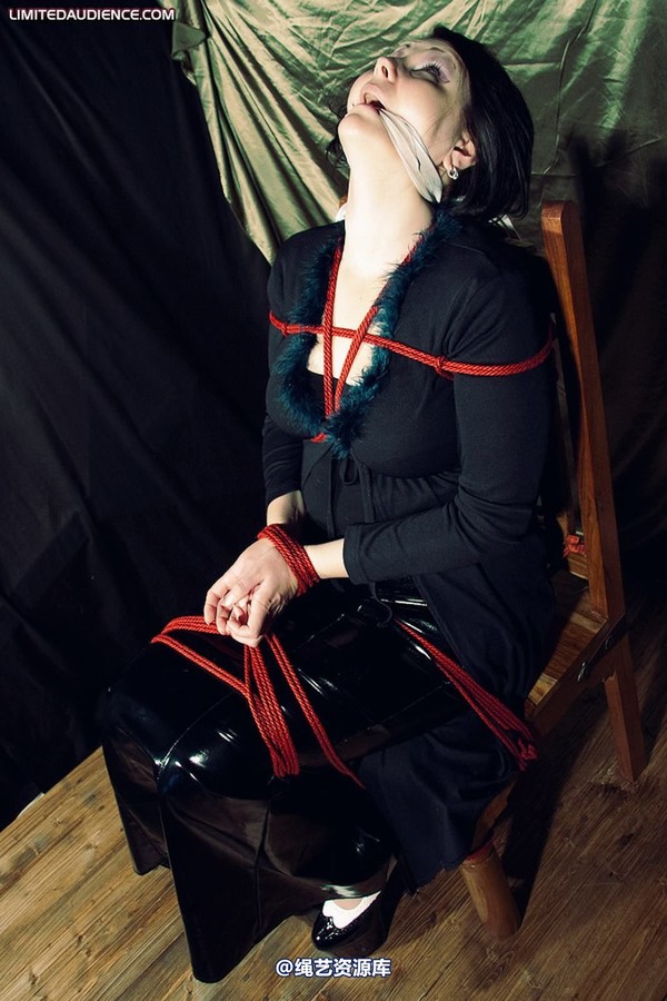 limitedaudience - 2010 deception helpless prisoner 2 第 33 张图片
