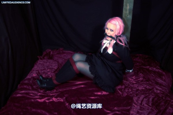 limitedaudience - 2009 assisted suicide taken 2 第 27 张图片