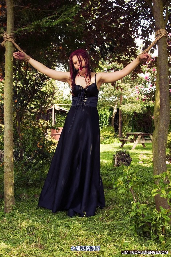limitedaudience - 2010 beckykat between trees 第 31 张图片