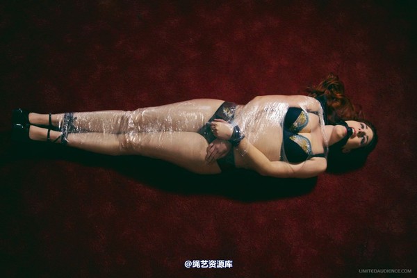 limitedaudience - 2012 ivory clingfilmed 第 20 张图片