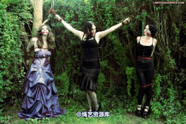 limitedaudience - 2009 catya elyssia lolly pleasure reserves 2 第 32 张图片