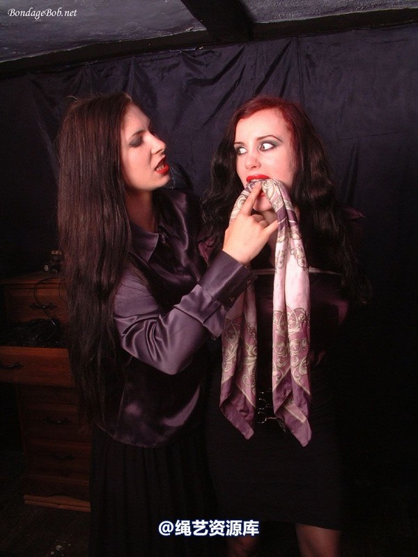 bondagebob - Morrigan and Lydia I'll fix you! 第 24 张图片