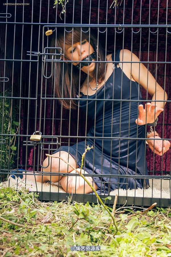 limitedaudience - 2013 luisa caged punishment 第 30 张图片