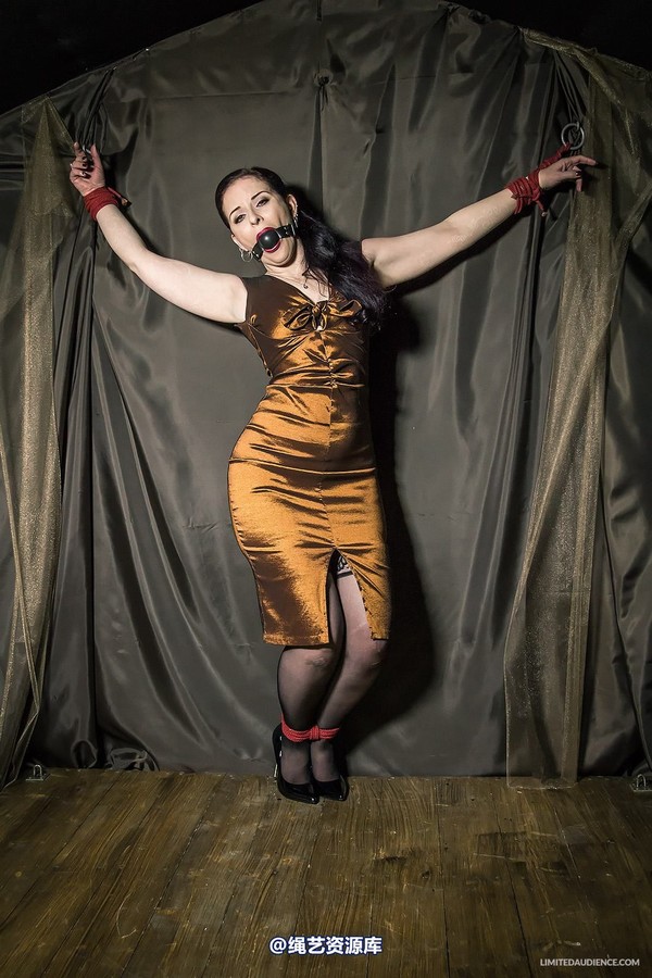limitedaudience - 2014 caroline pierce bondage in bronze 第 4 张图片