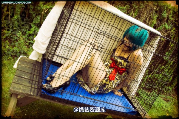 limitedaudience - 2009 b caged animal 第 3 张图片