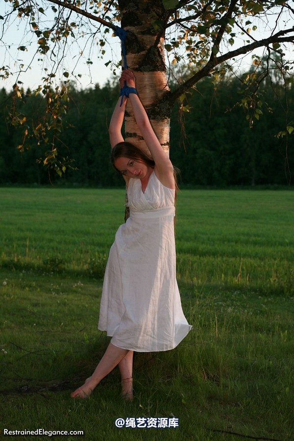 restrainedelegance - Sunset Semi-Suspension 第 15 张图片