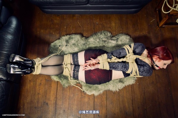 limitedaudience - 2012 syrah lee hogtied 第 30 张图片