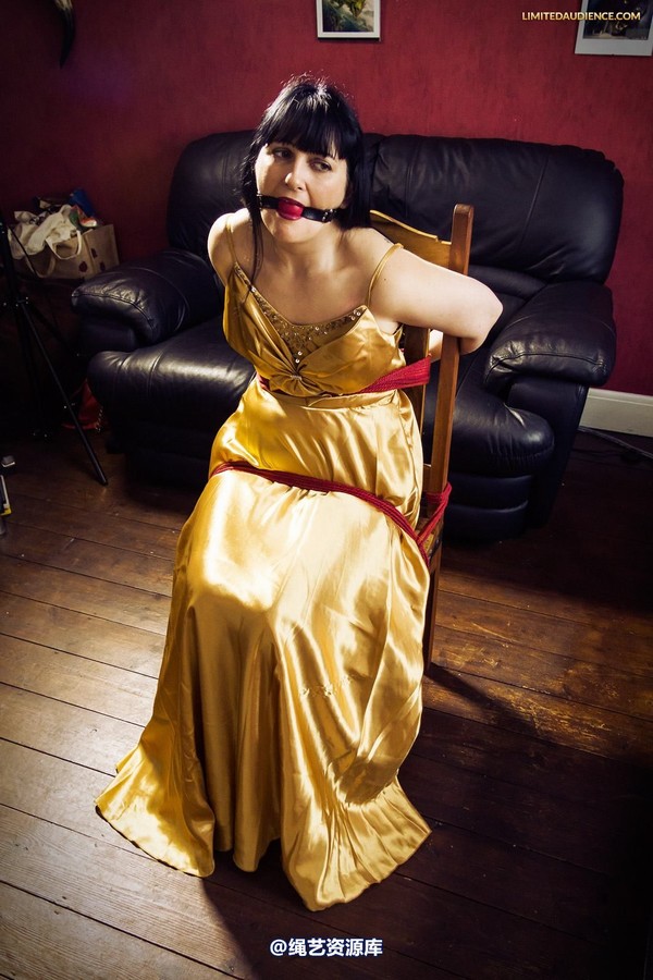 limitedaudience - 2013 dynamo golden satin 2 第 18 张图片