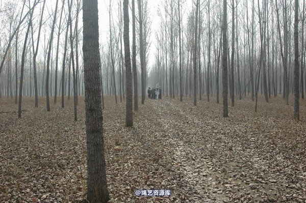 mj影视 - 血泪控诉刑场 第 92 张图片