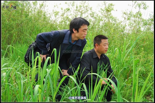 千丝万缕 - 2008-04-06日照片 第 37 张图片