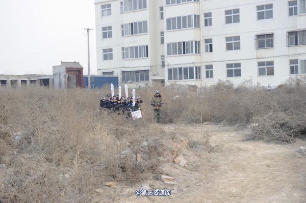 mj影视 - 2014-01-23 新春严打套图2 第 5 张图片