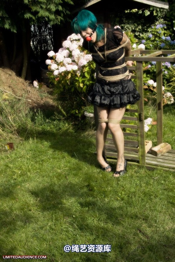 limitedaudience - 2009 b captive pixie 第 19 张图片
