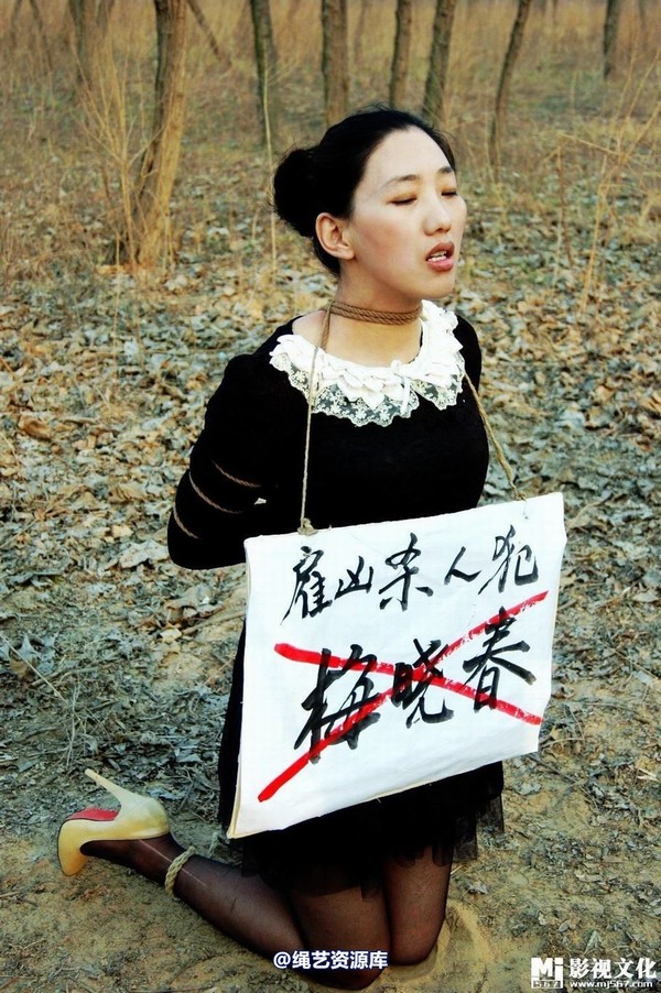 mj影视 - 惊天第一案－雇凶杀人犯梅晓春 第 87 张图片