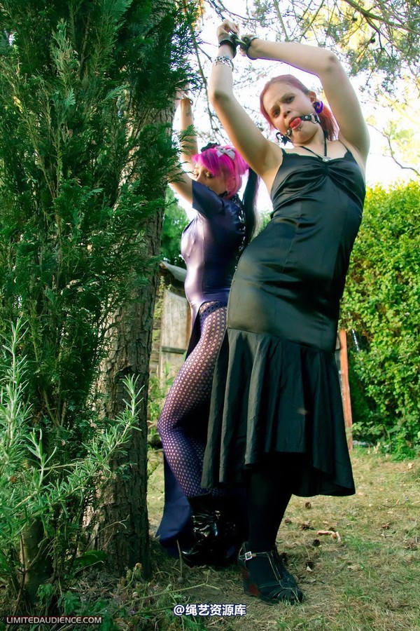 limitedaudience - 2011 beckykat loltaru chained tree seesaw 第 5 张图片