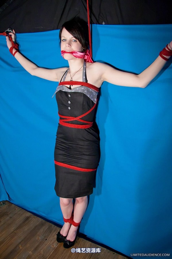 limitedaudience - 2011 luisa tied to the wall 2 第 24 张图片