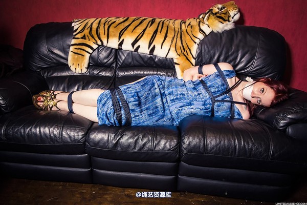 limitedaudience - 2014 syrah lee bound damsel 2 第 1 张图片