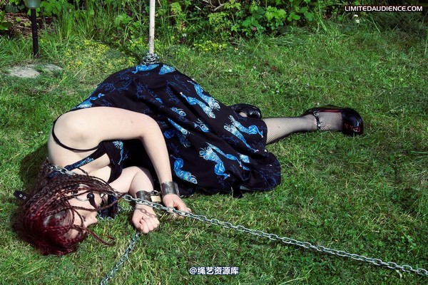 limitedaudience - 2011 beckykat chained and staked 2 第 25 张图片
