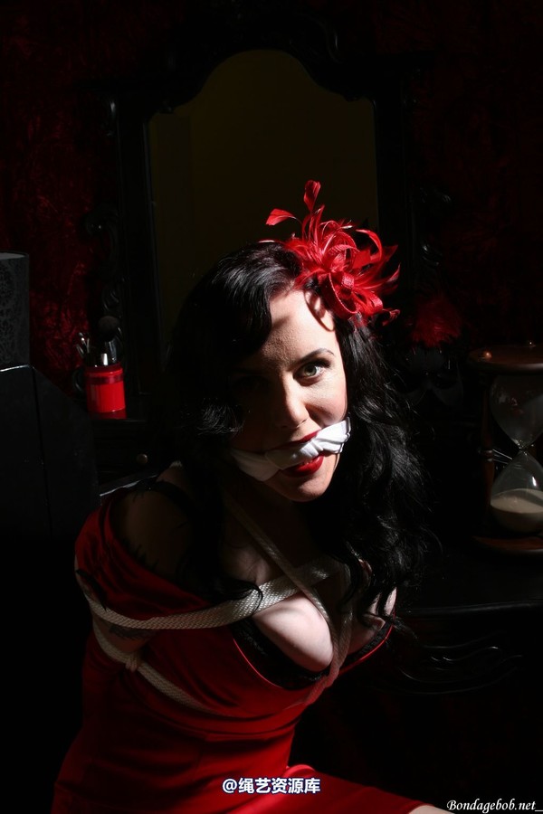 bondagebob - Morrigan Noir 第 83 张图片