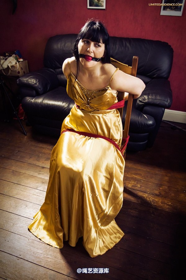 limitedaudience - 2013 dynamo golden satin 2 第 20 张图片