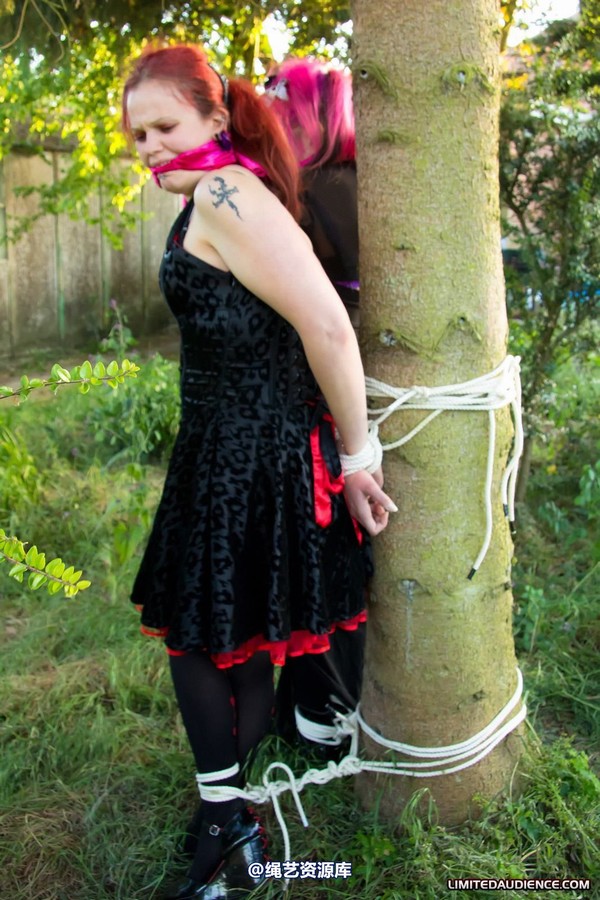 limitedaudience - 2011 beckykat loltaru moored to tree 第 6 张图片