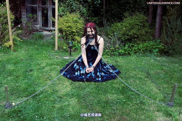 limitedaudience - 2010 beckykat chained and staked 第 12 张图片